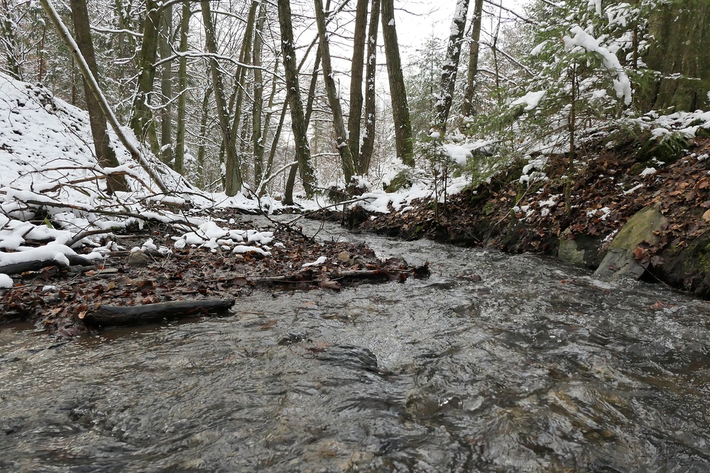 Winterspaziergang am und im Langhecker Bach 09