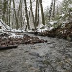 Winterspaziergang am und im Langhecker Bach 09