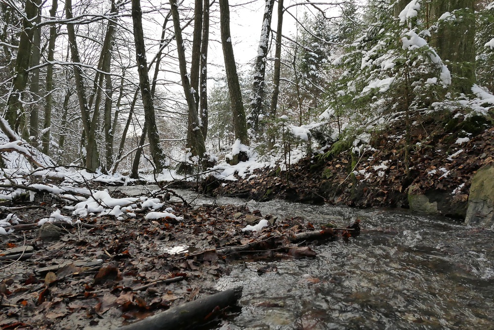 Winterspaziergang am und im Langhecker Bach 10