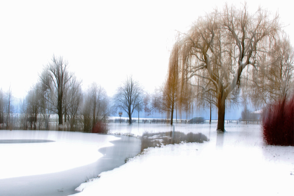 Winterspaziergang am Weiher