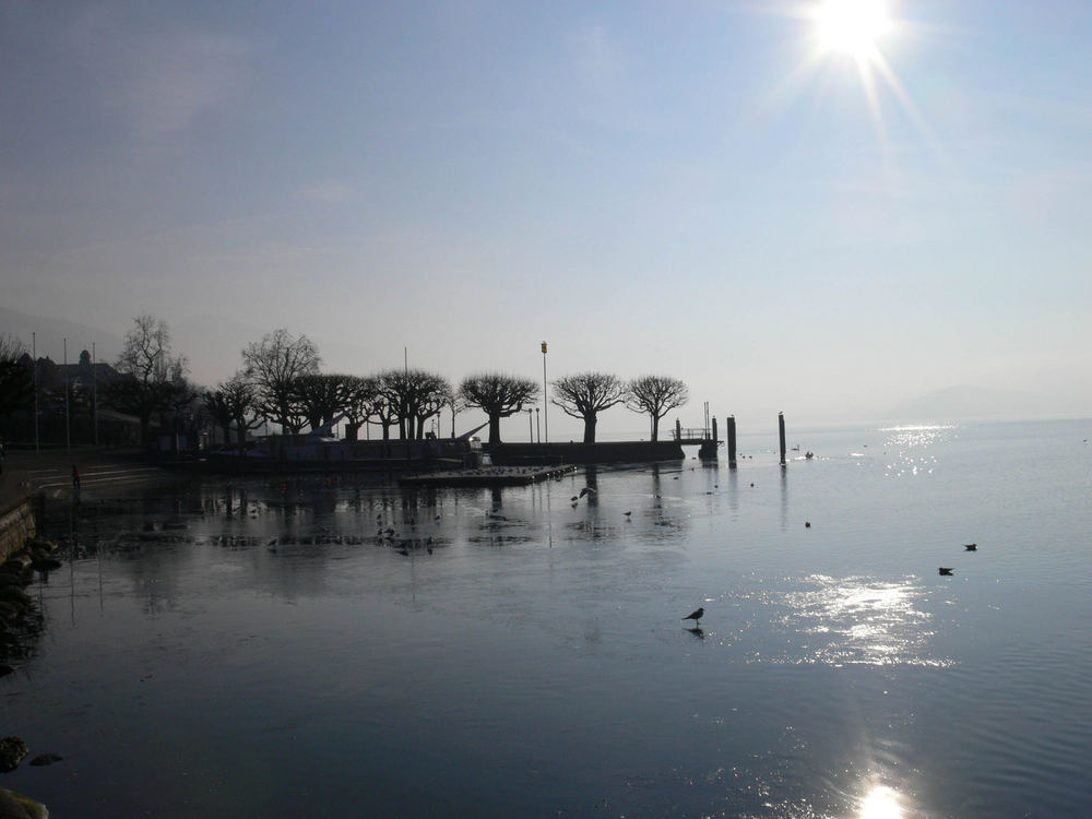 Winterspaziergang am Zugersee