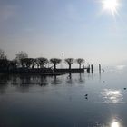 Winterspaziergang am Zugersee