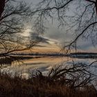 Winterspaziergang an der Elbe