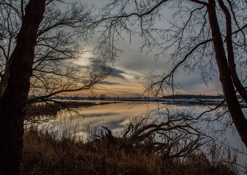 Winterspaziergang an der Elbe