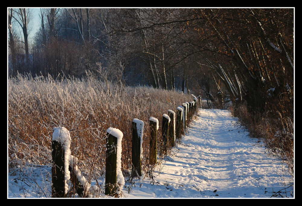 Winterspaziergang an der Geinegge