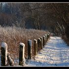 Winterspaziergang an der Geinegge