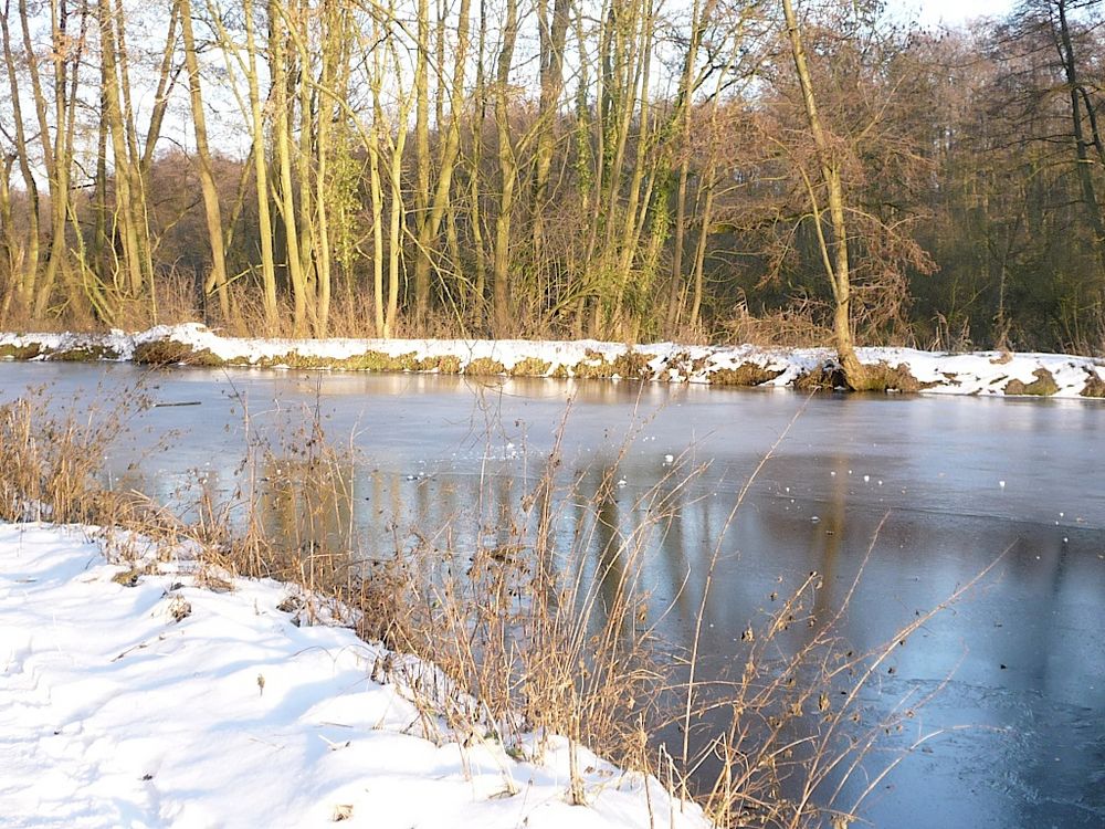 Winterspaziergang an der Nette by Rena Büscher 