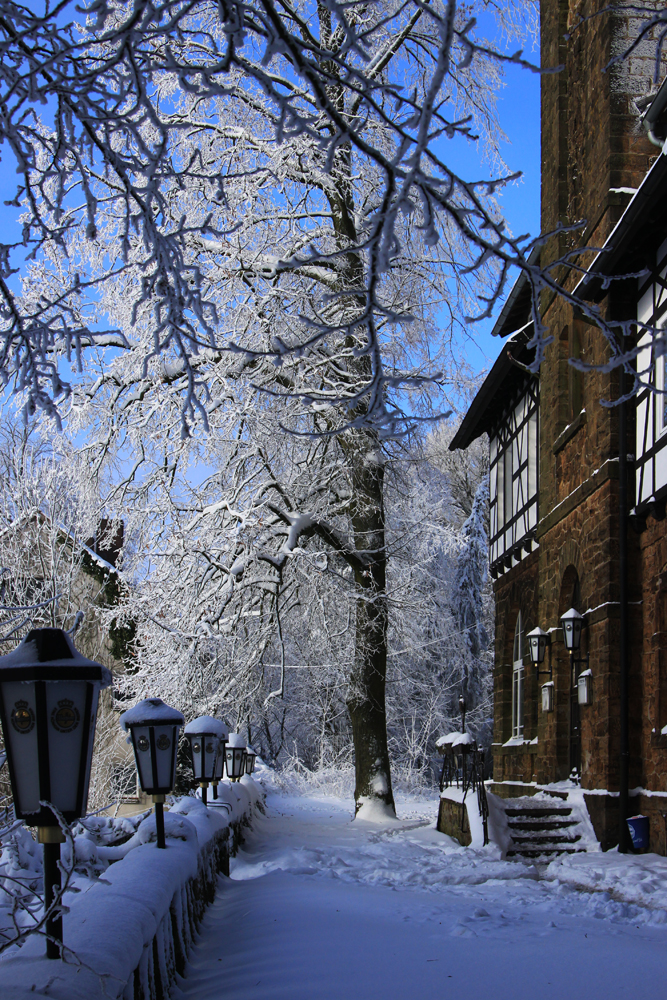 Winterspaziergang an der Wittekindsburg