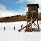 Winterspaziergang auf dem Hoherodskopf