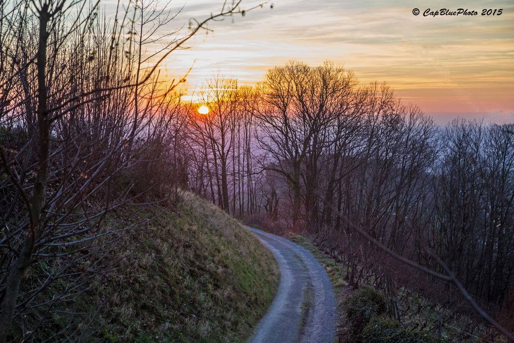 Winterspaziergang auf dem Jägerweg (Kappelwindeck bei Bühl Baden)