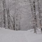 Winterspaziergang auf dem Klosterberg