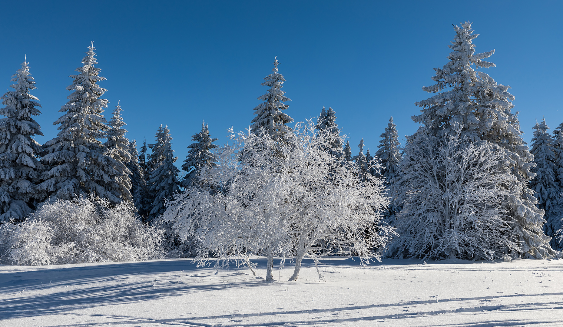 Winterspaziergang auf dem Kreuzberg Foto & Bild | jahreszeiten, winter ...