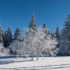 Winterspaziergang auf dem Kreuzberg