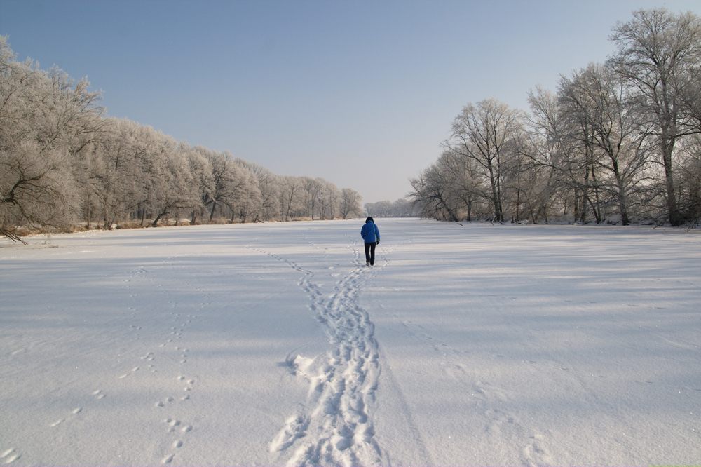 Winterspaziergang auf der alten Mulde