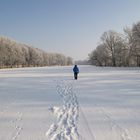 Winterspaziergang auf der alten Mulde