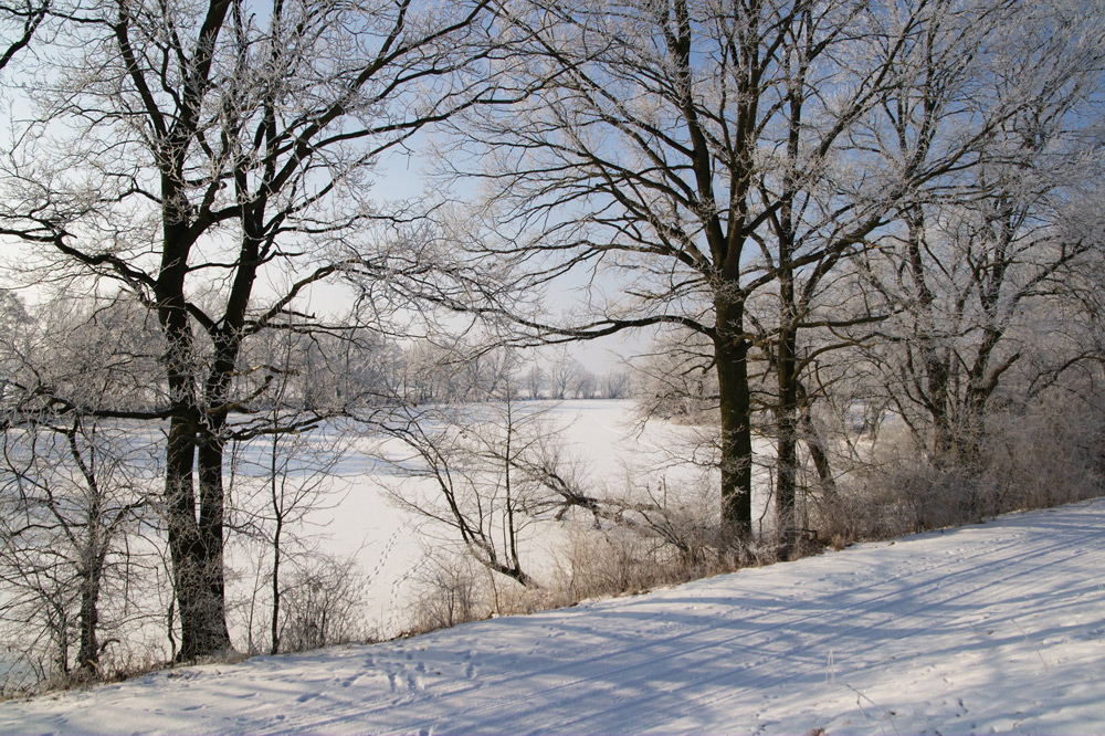 Winterspaziergang auf der Mulde