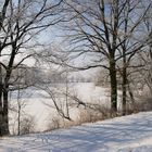 Winterspaziergang auf der Mulde