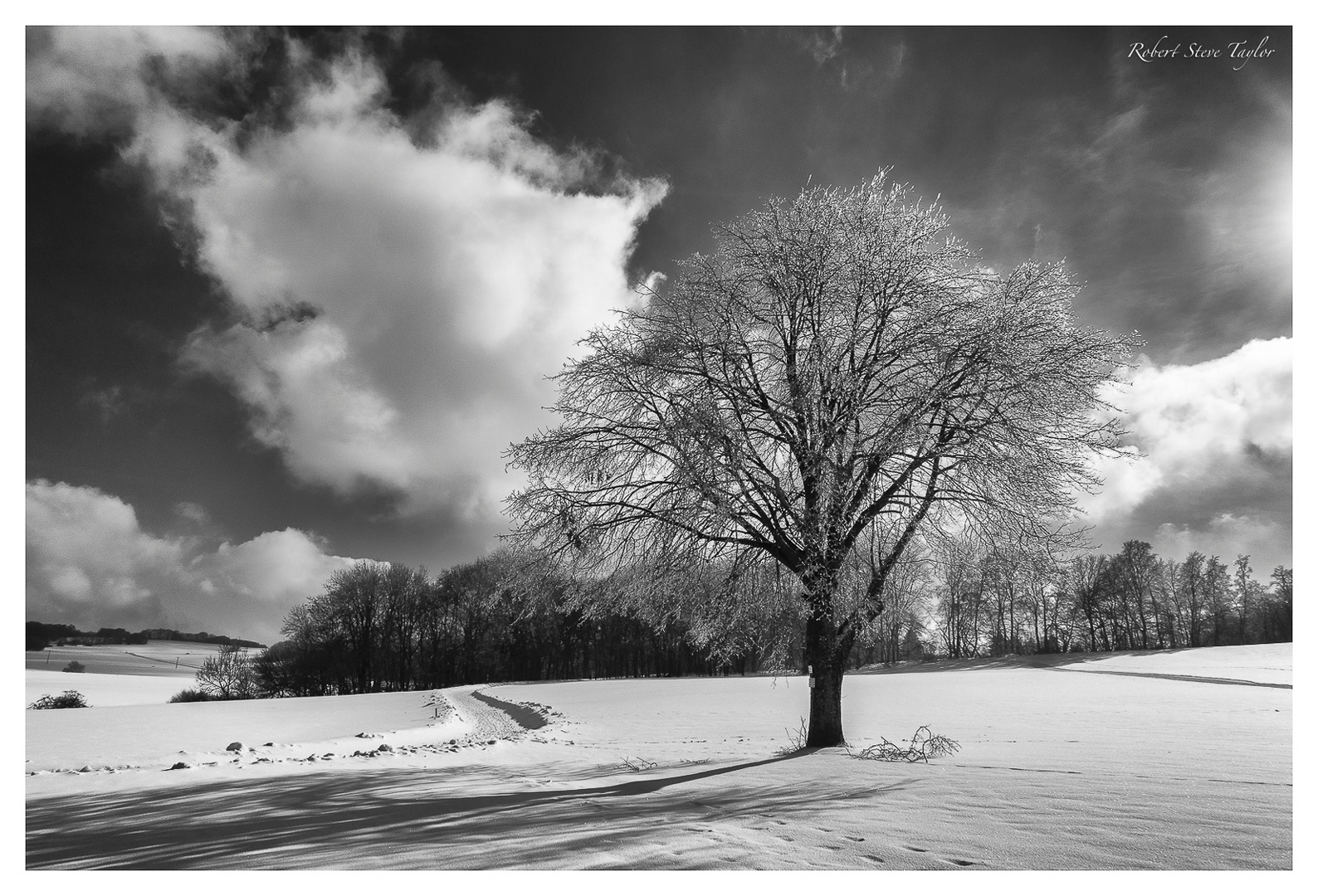 Winterspaziergang auf der schwäbischen Alb