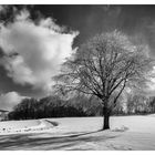 Winterspaziergang auf der schwäbischen Alb