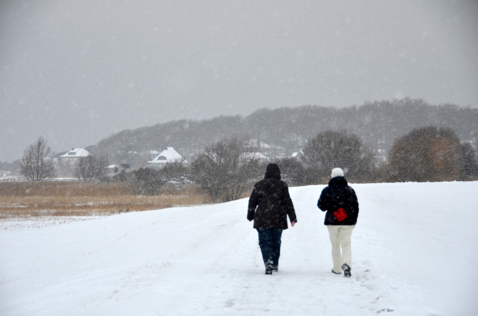 Winterspaziergang auf Hiddensee