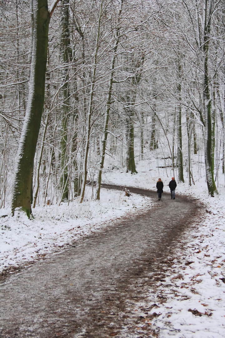 Winterspaziergang