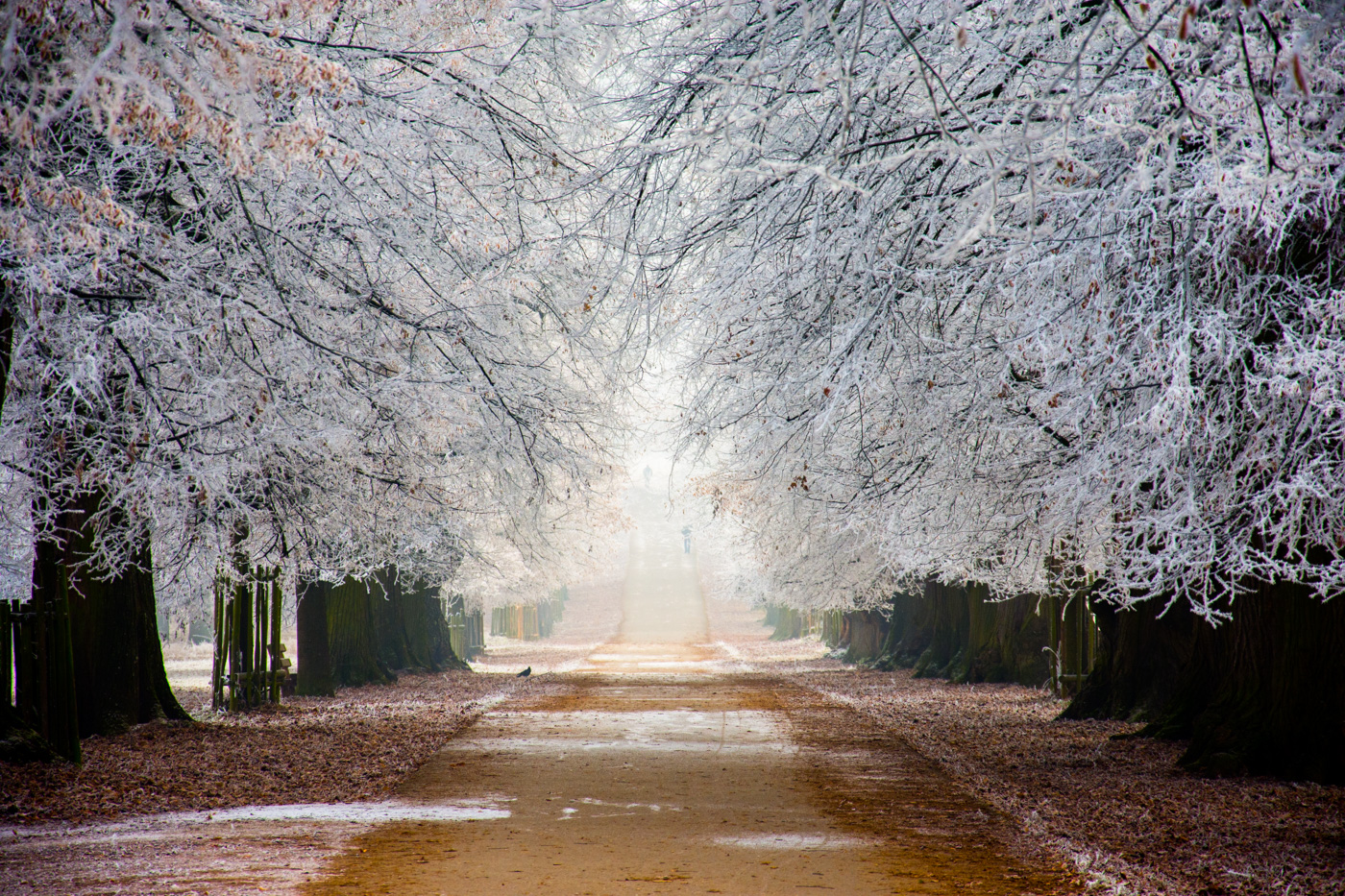 Winterspaziergang