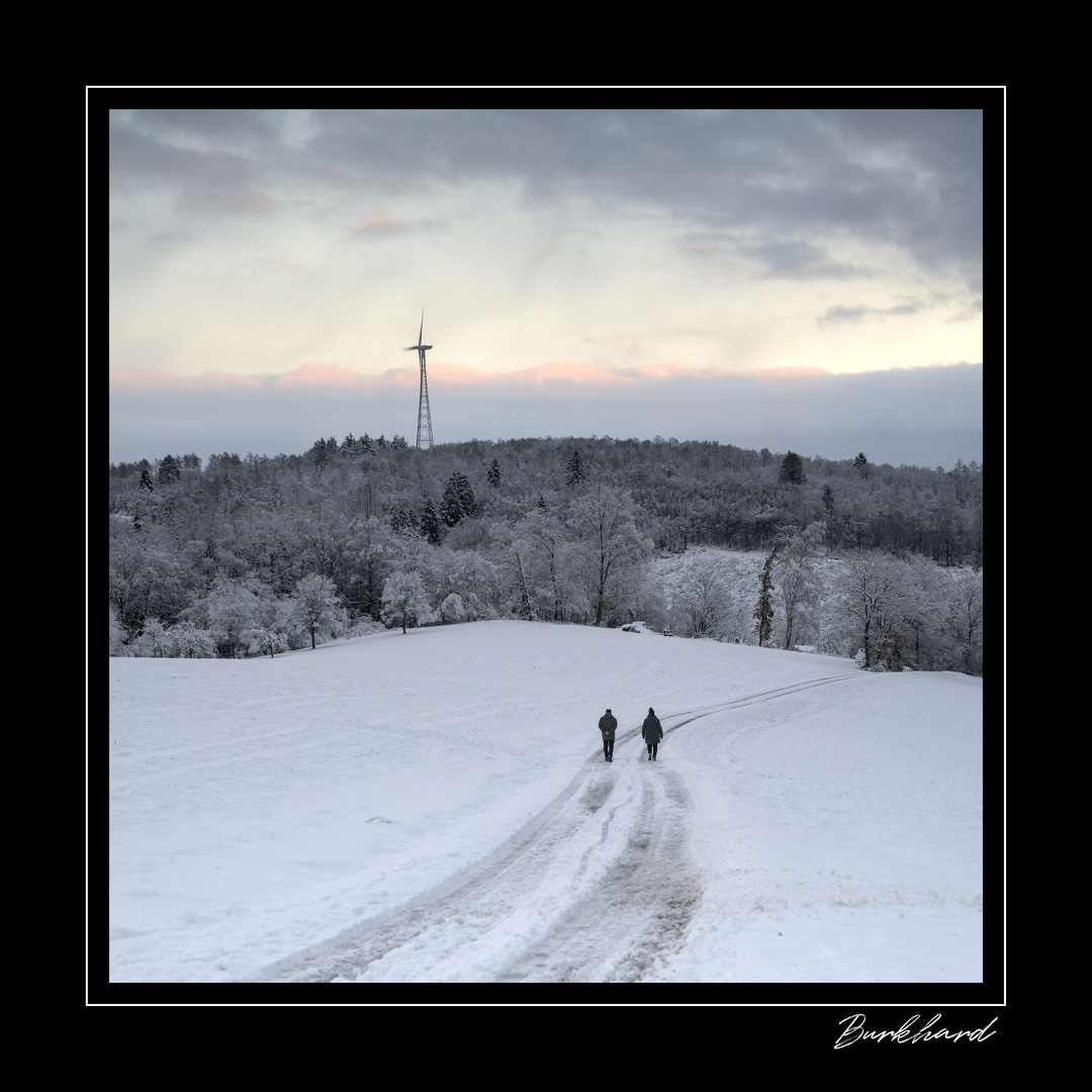 Winterspaziergang