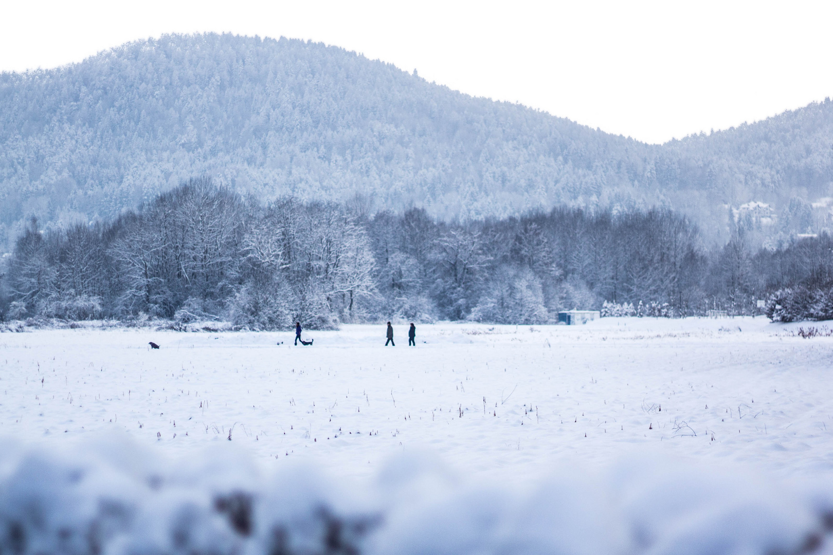 Winterspaziergang