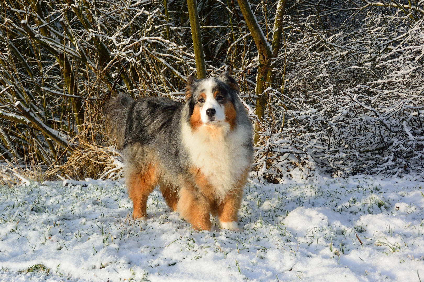 Winterspaziergang