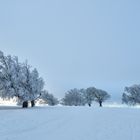 Winterspaziergang