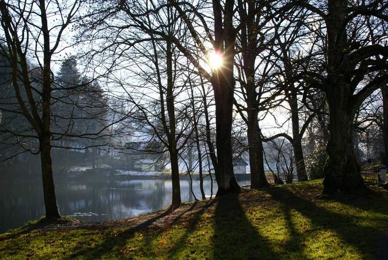 Winterspaziergang