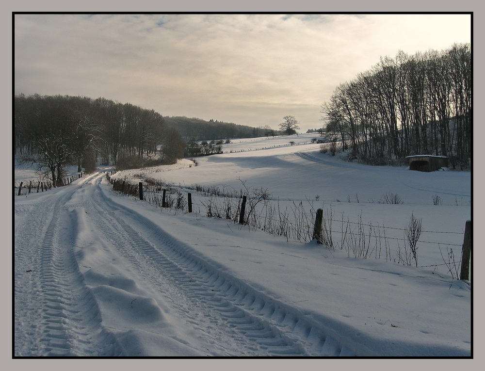 Winterspaziergang