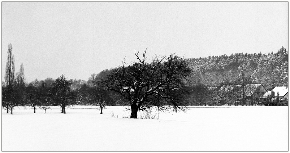 Winterspaziergang bei Cadolzburg