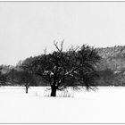 Winterspaziergang bei Cadolzburg