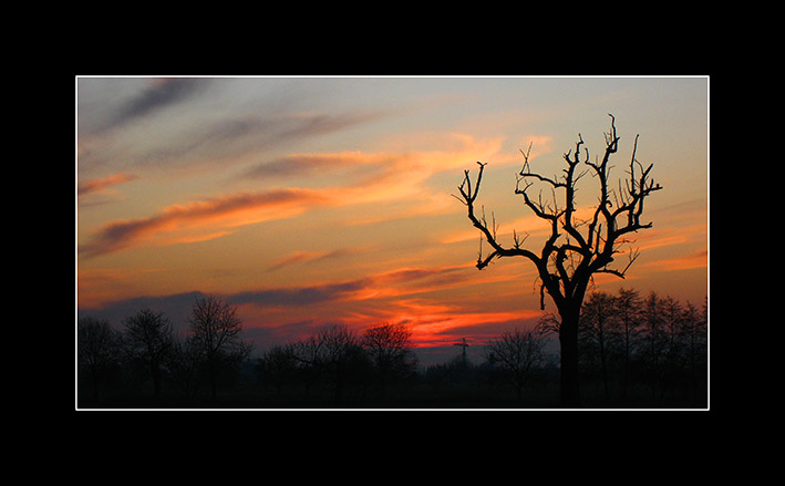 Winterspaziergang bei Förch/Rastatt