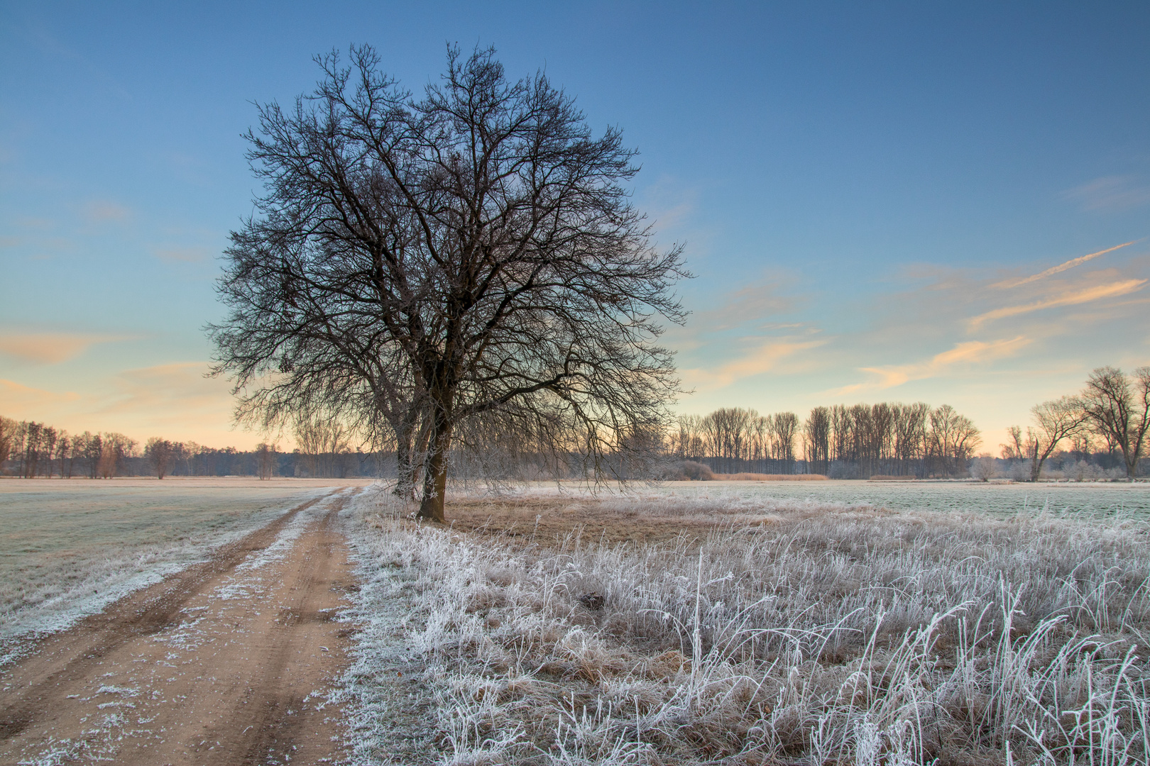 Winterspaziergang bei Geinsheim