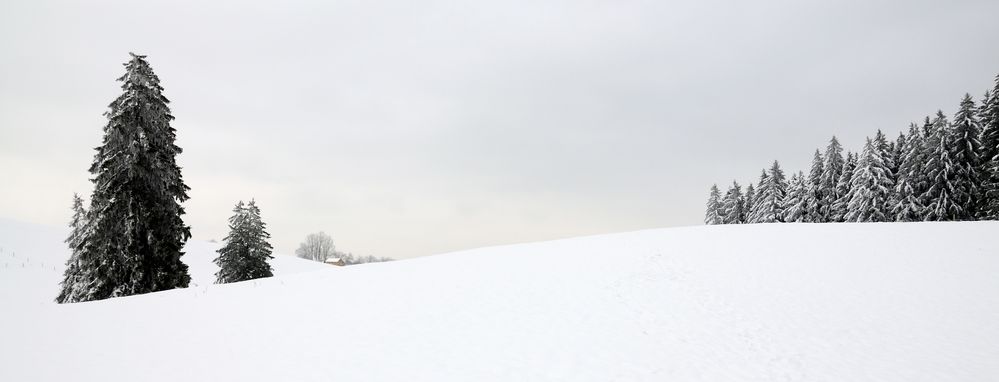 Winterspaziergang bei Hochgreut