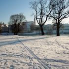 Winterspaziergang bei Straubing