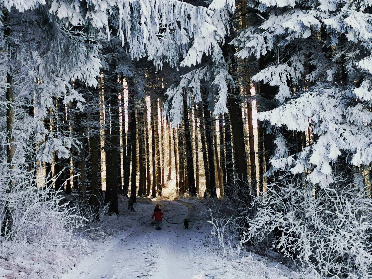 Winterspaziergang  Bertaburg / Gruibingen 