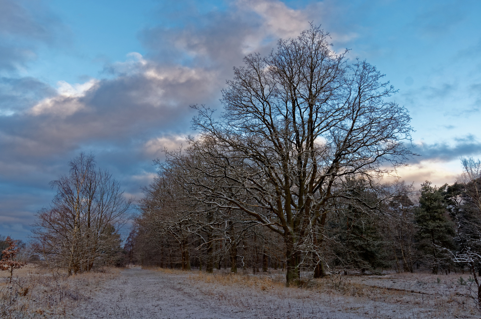 Winterspaziergang