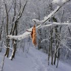 Winterspaziergang Blatt