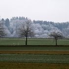 Winterspaziergang