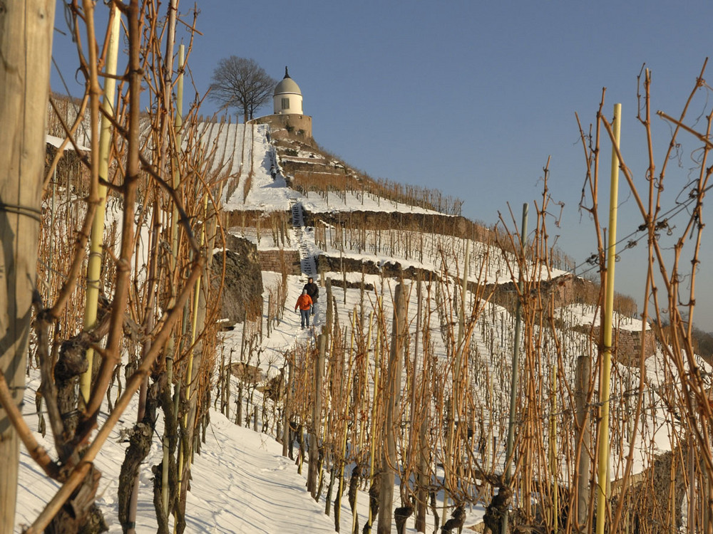 Winterspaziergang