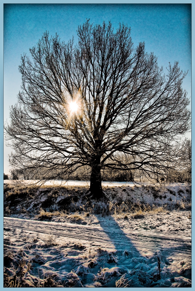 Winterspaziergang