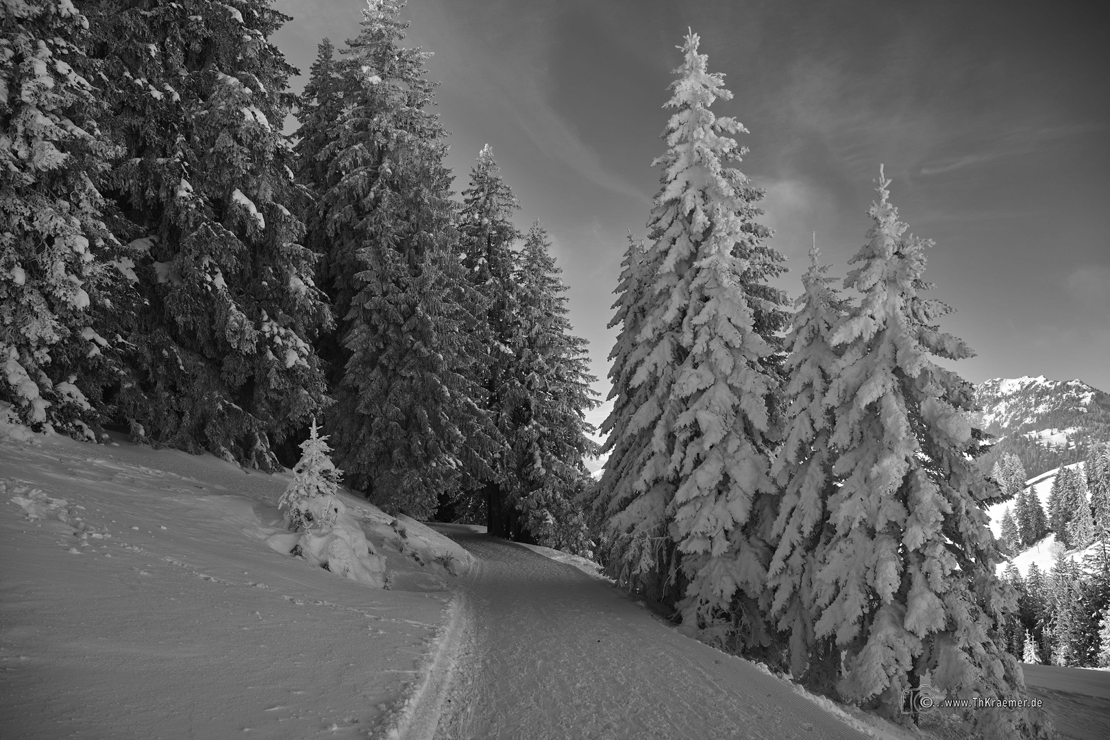 Winterspaziergang - C1_NZ7_1653