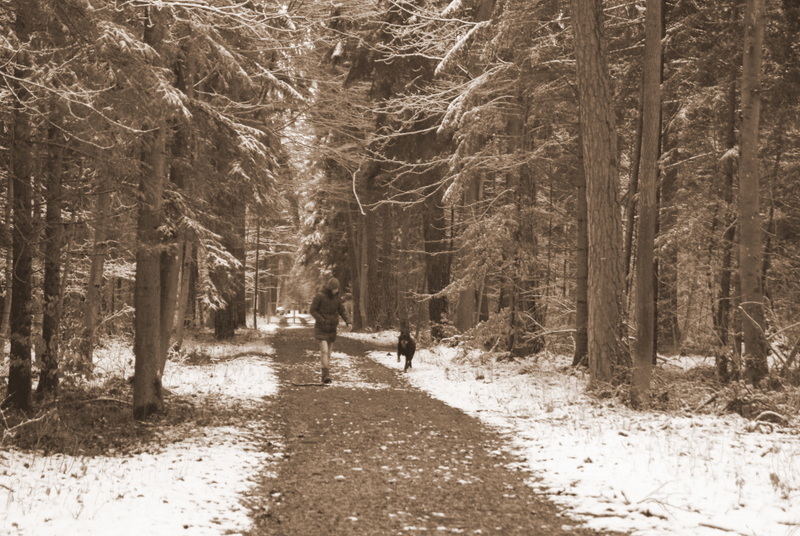 Winterspaziergang