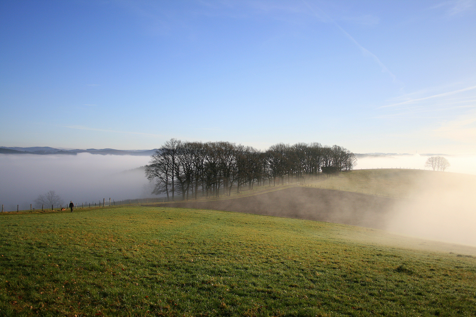 Winterspaziergang