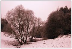 Winterspaziergang