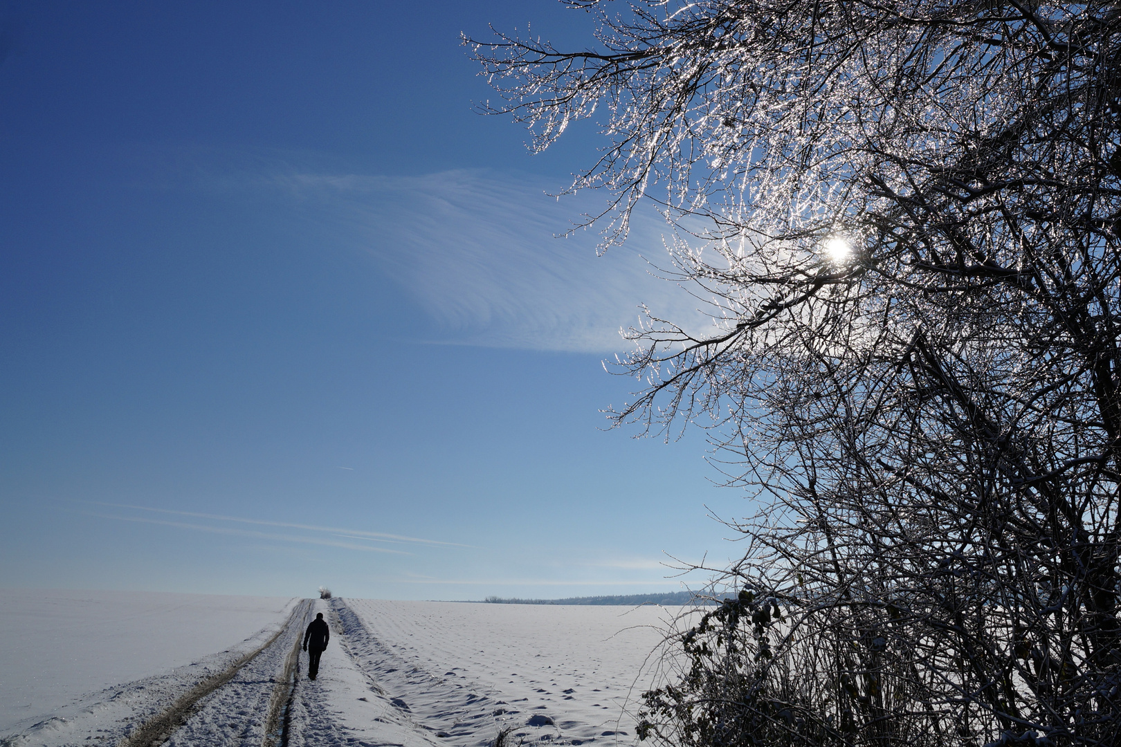 Winterspaziergang