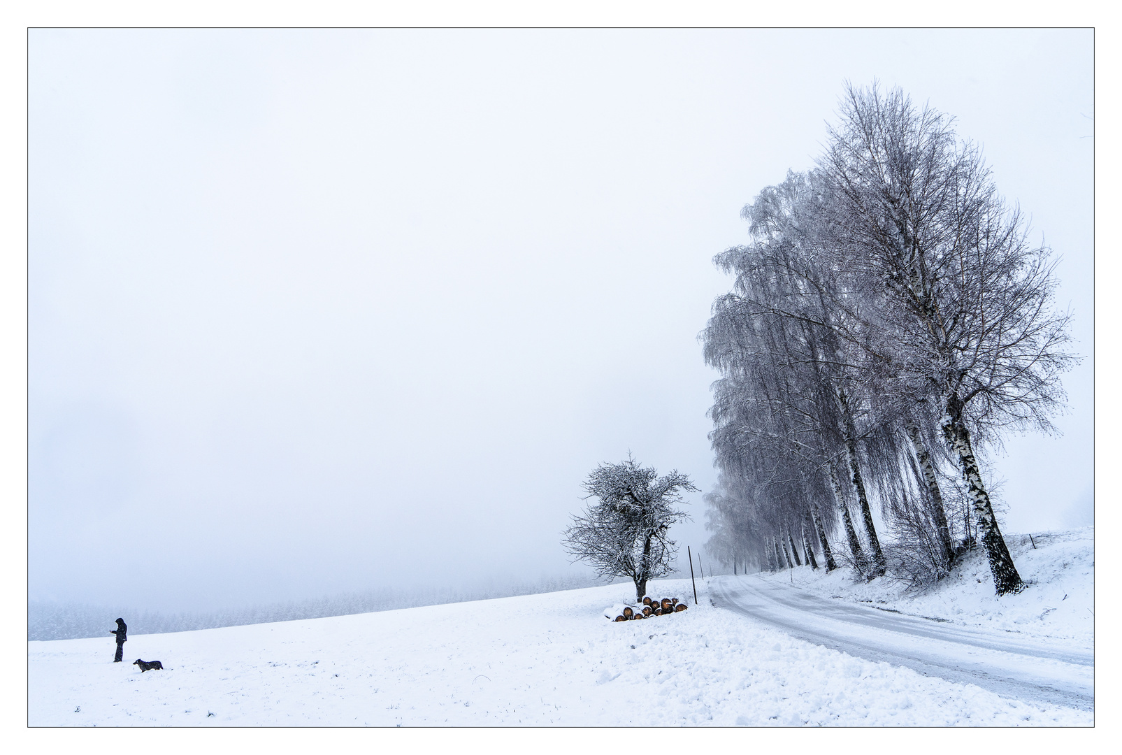 Winterspaziergang